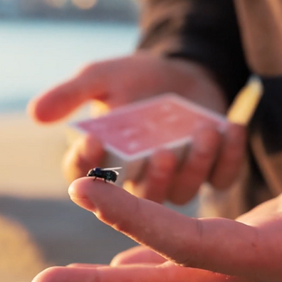 The FLY LITE by Marcos Waldemar & Invisible Compass